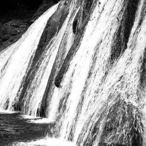 Meet your Posher, Dannel